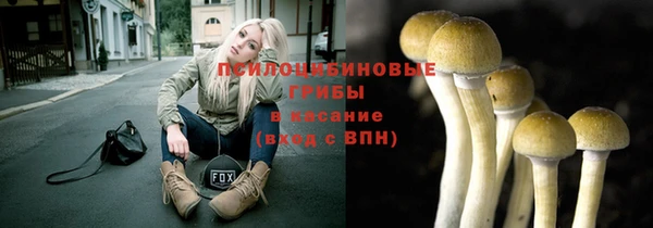 тгк Михайловск