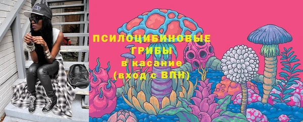 тгк Михайловск
