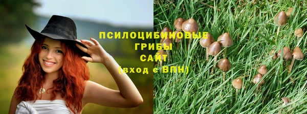 тгк Михайловск